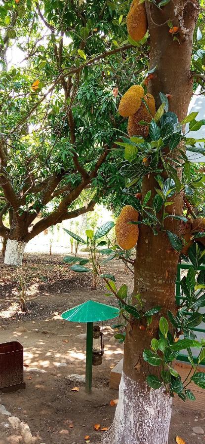 Corbett Nature Retreat 兰纳加 外观 照片