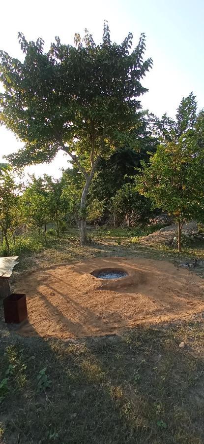 Corbett Nature Retreat 兰纳加 外观 照片