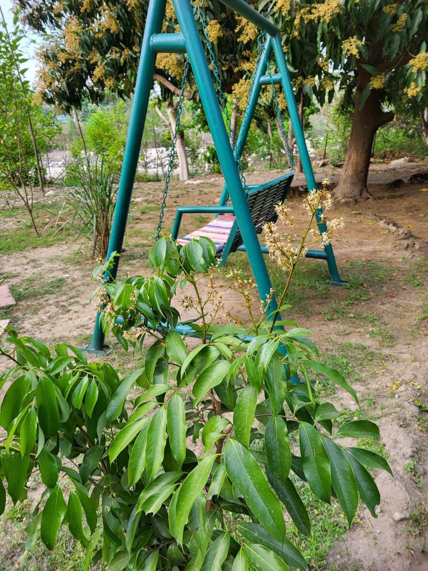 Corbett Nature Retreat 兰纳加 外观 照片